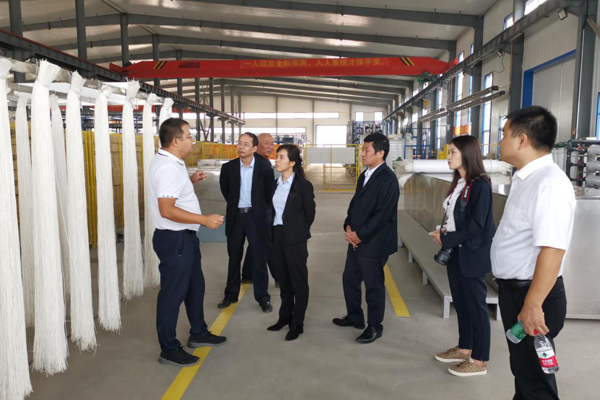 陜西航天建設(shè)集團有限公司總經(jīng)理、黨委副書記謝明娟率隊赴遼寧一諾環(huán)保產(chǎn)業(yè)集團開展考察調(diào)研工作